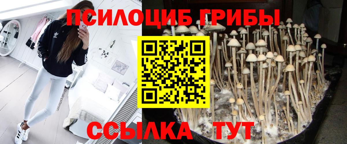 цены наркотик  Псилоцибиновые грибы ЛСД  Вход с VPN  Гурьевск  Галлюциногенные грибы MAGIC MUSHROOMS 