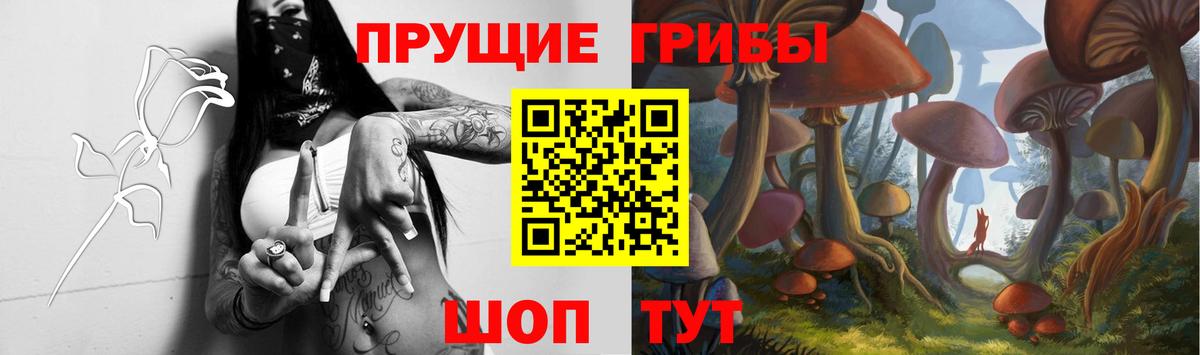 Псилоцибиновые грибы Magic Shrooms Гурьевск